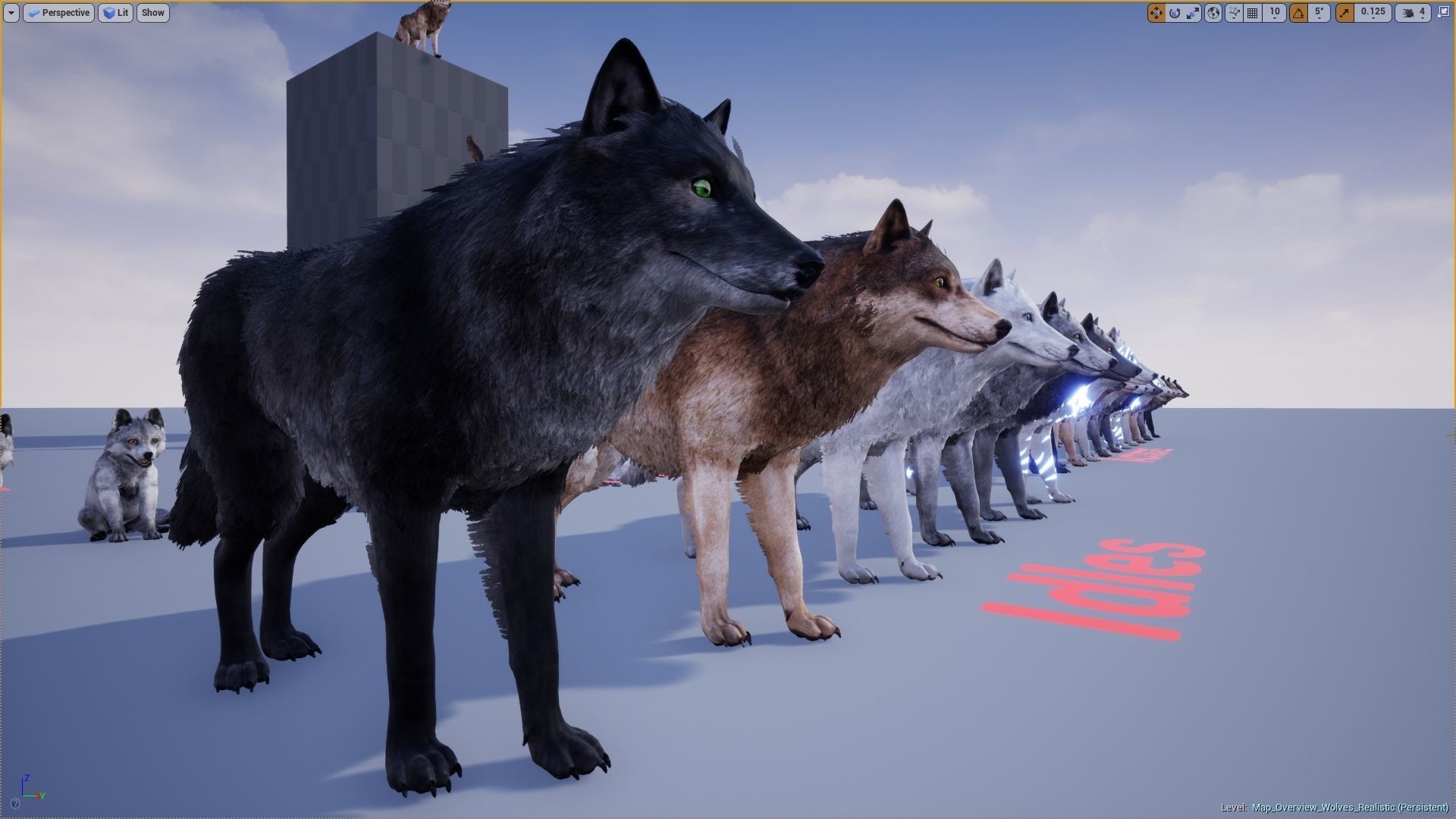 Wolf Realistic 3D model_16