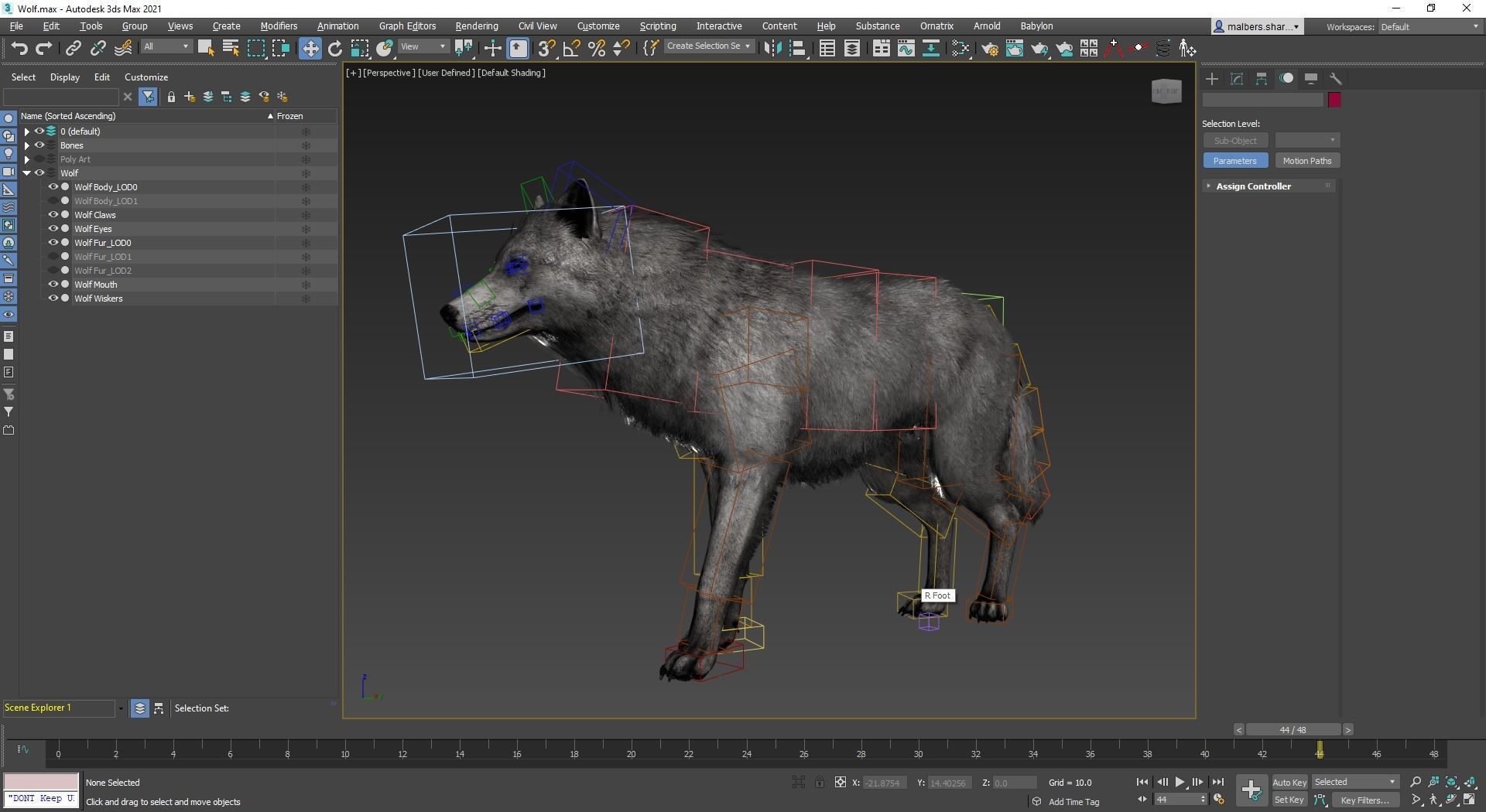 Wolf Realistic 3D model_8