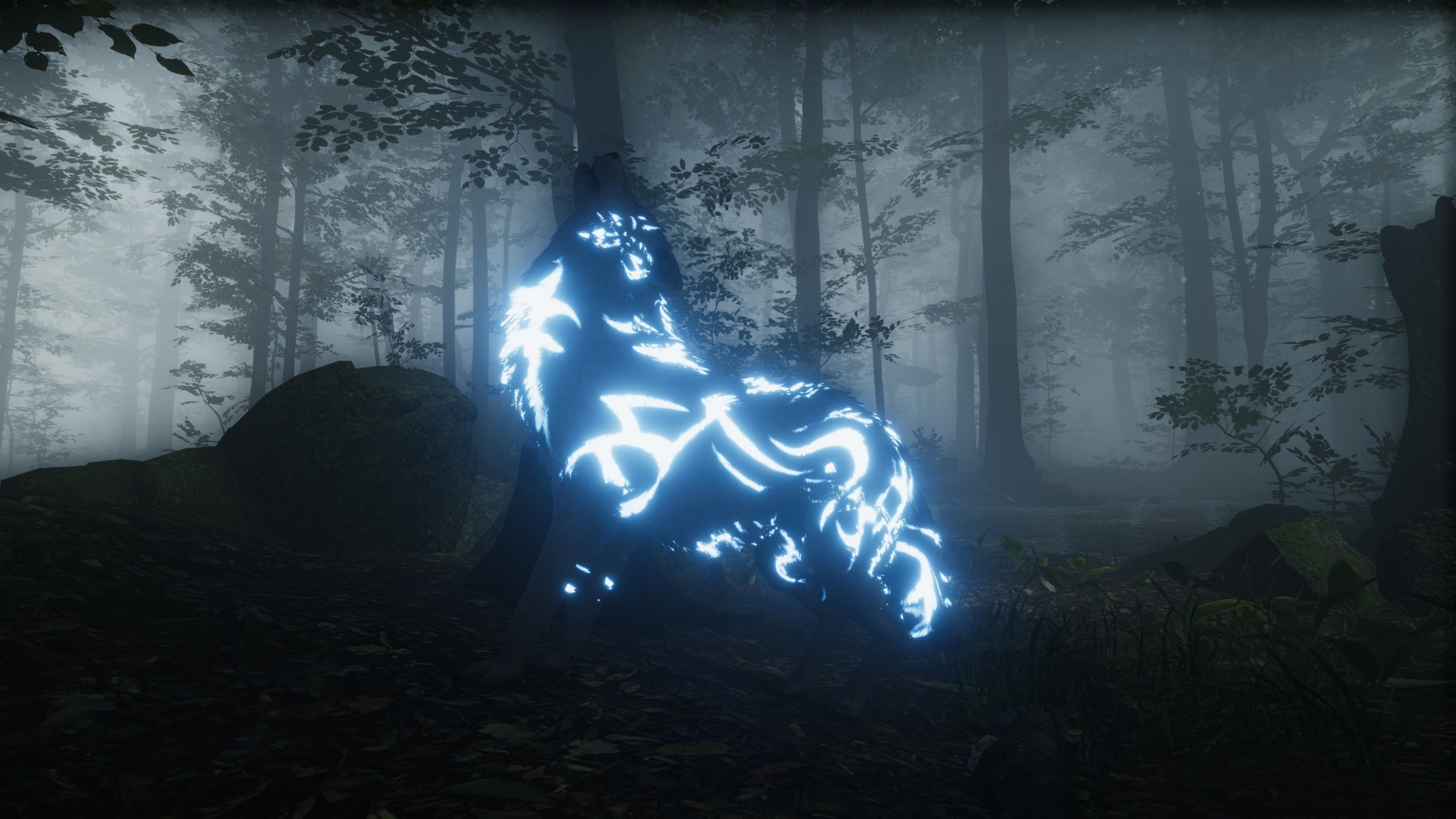 Wolf Realistic 3D model_19