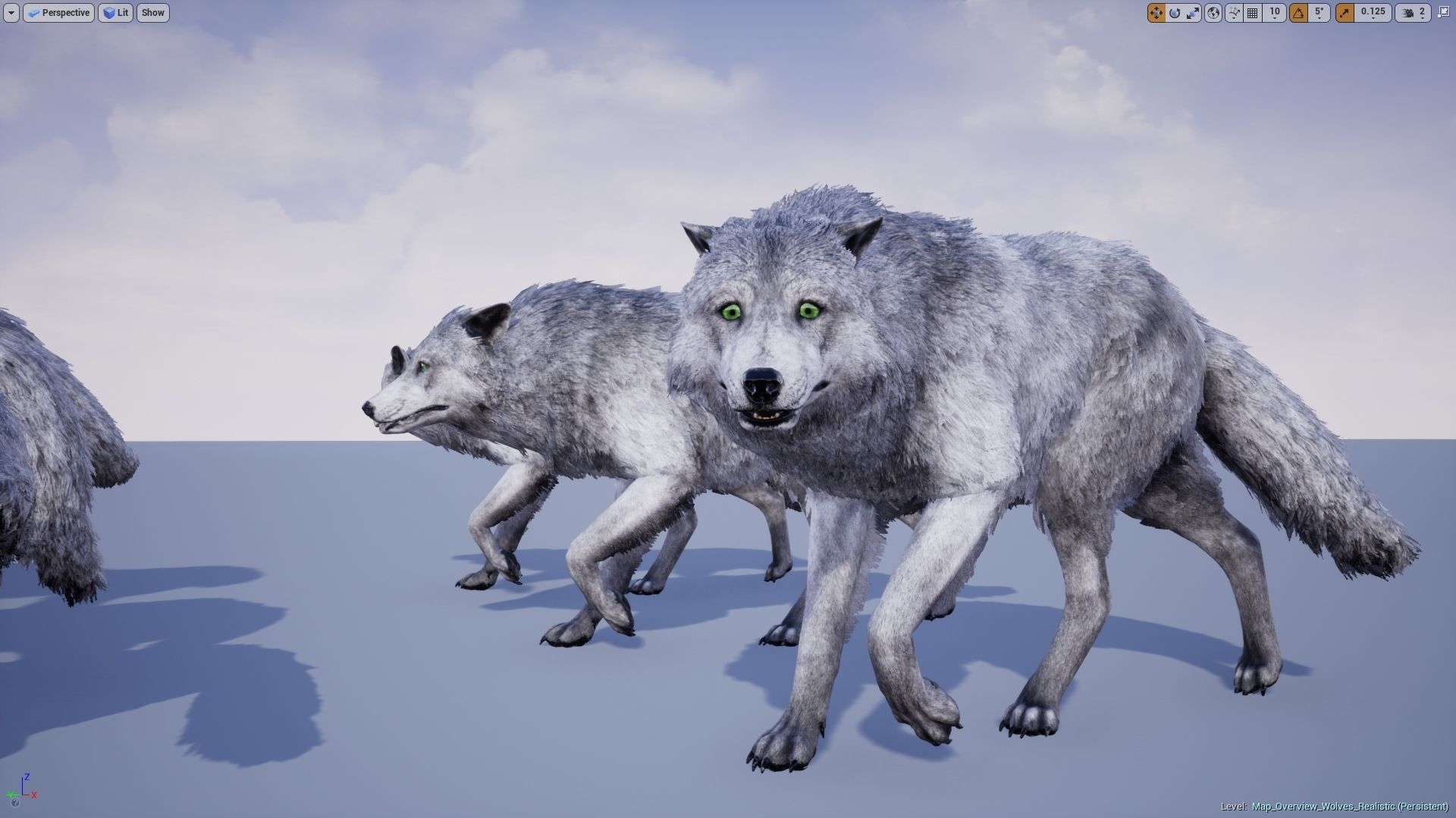 Wolf Realistic 3D model_17