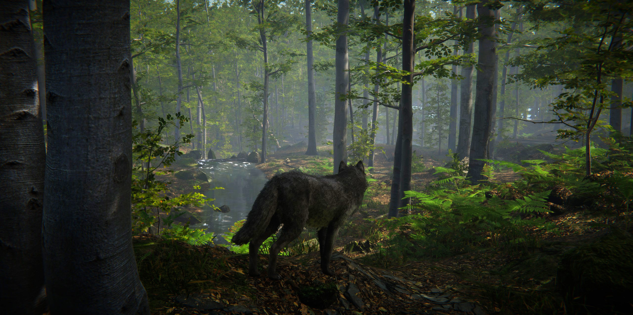 Wolf Realistic 3D model_13