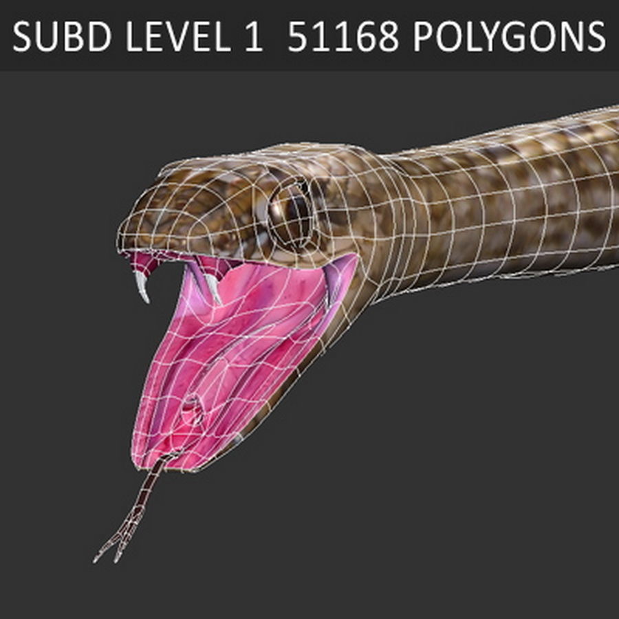 Pack - Snakes 3D model_9