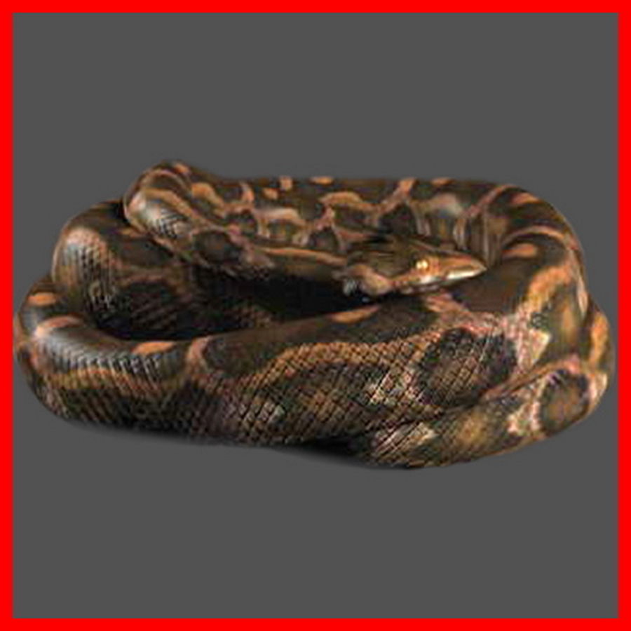 Pack - Snakes 3D model_1