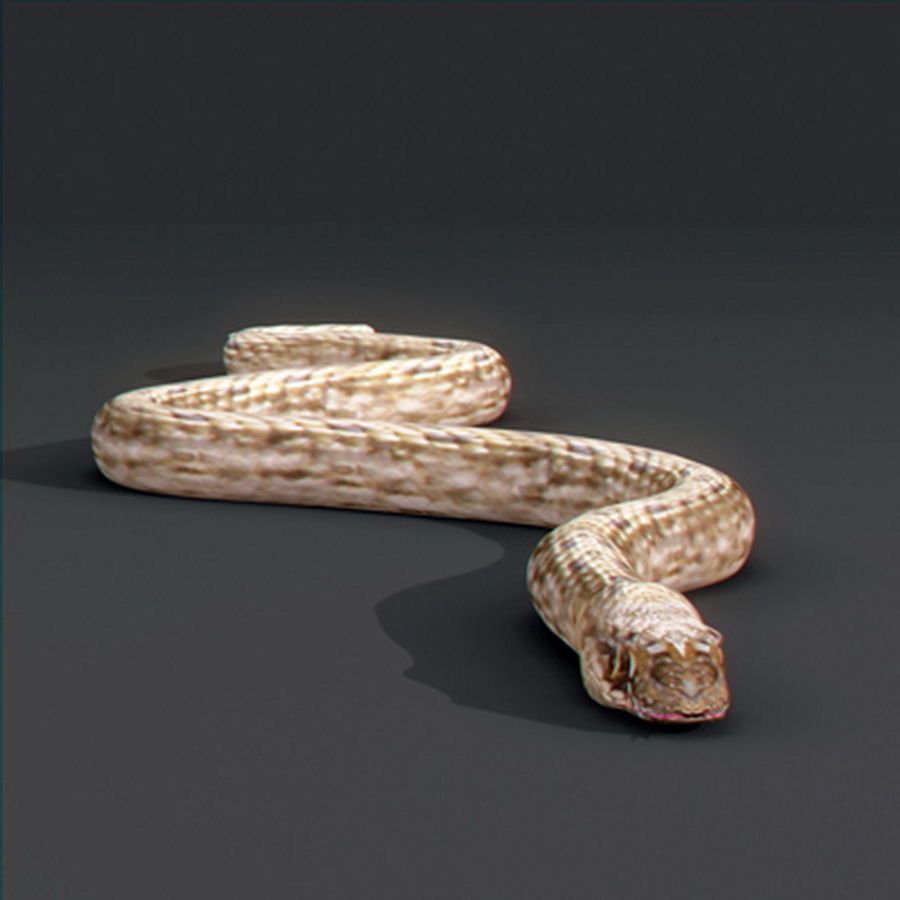 Pack - Snakes 3D model_6