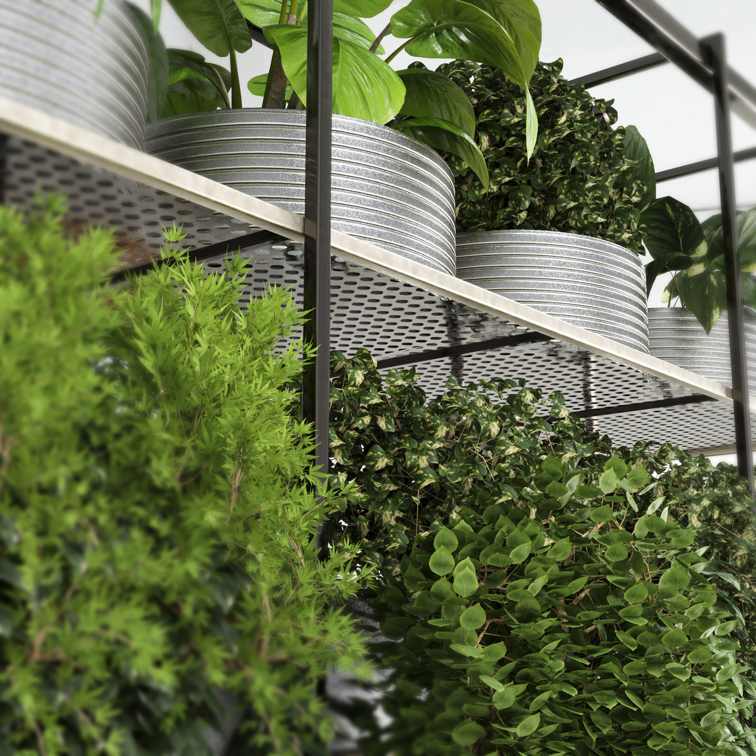 collection Indoor plants hanging pot-metal bax vase 04 Low-poly 3D model_1