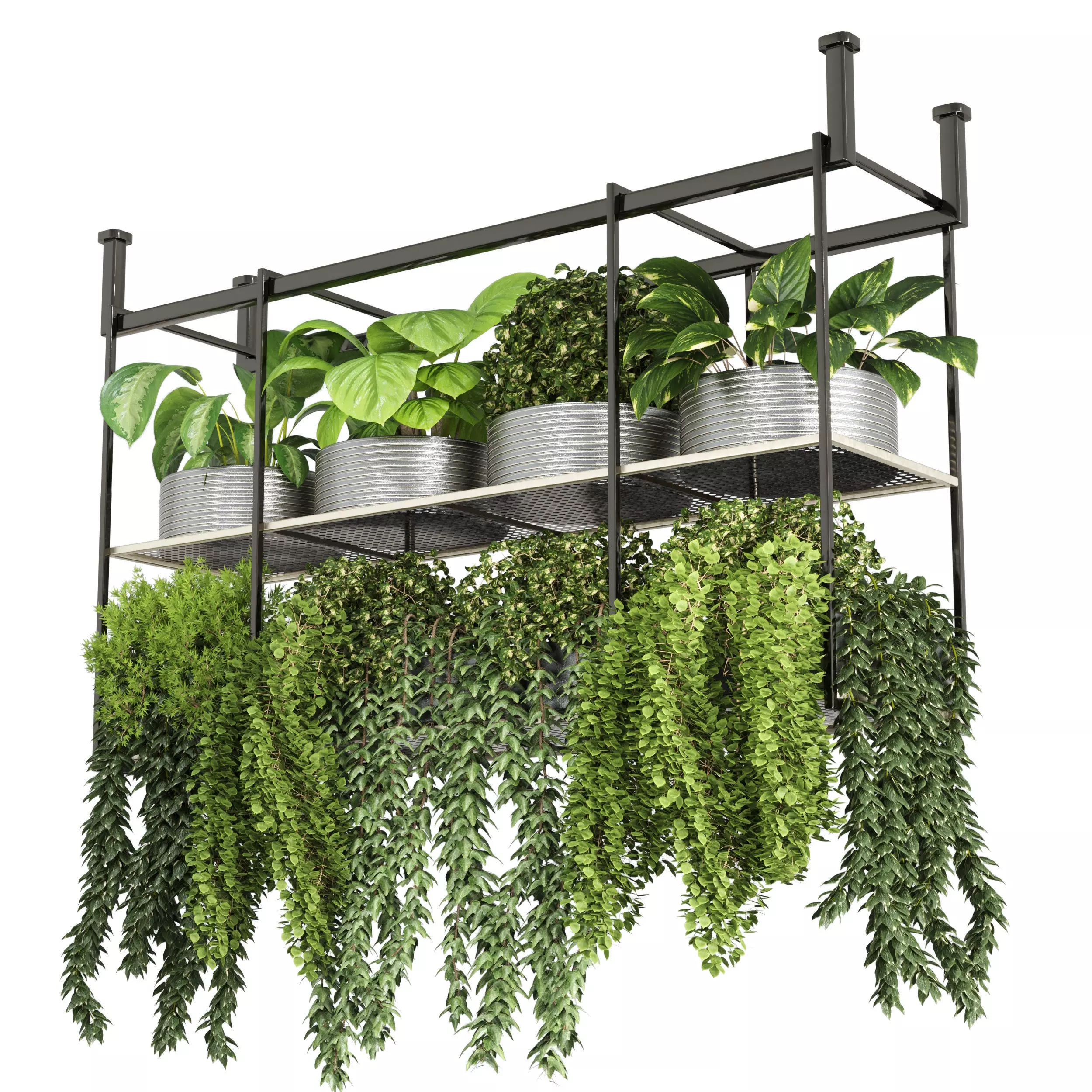 collection Indoor plants hanging pot-metal bax vase 04 Low-poly 3D model_0