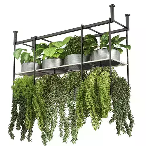 collection Indoor plants hanging pot-metal bax vase 04 Low-poly 3D model