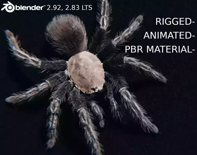 Skeleton Tarantula - Rigged and Animated 3D model