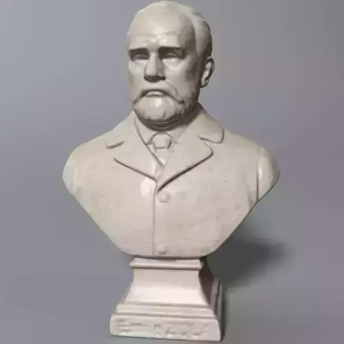 Zola Bust 3D model