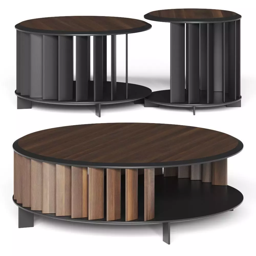 Living Divani Islands Coffee Tables 3D model_0