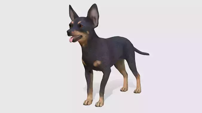 Dog - Toy Terrier Low-poly 3D model