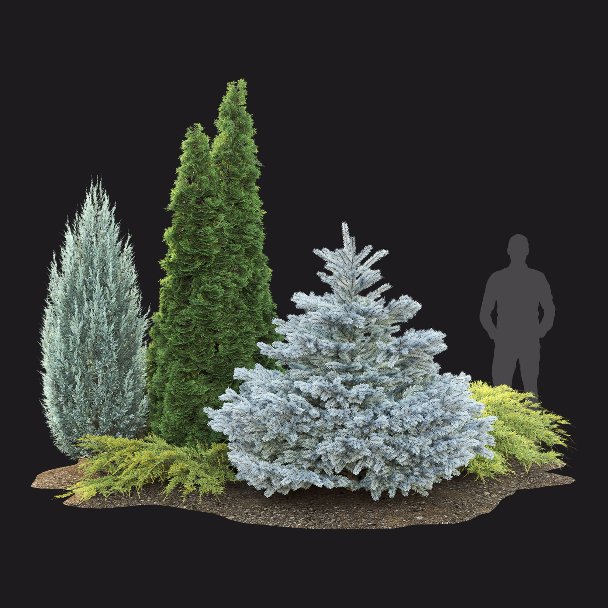 Plant Set 01 3D model_3