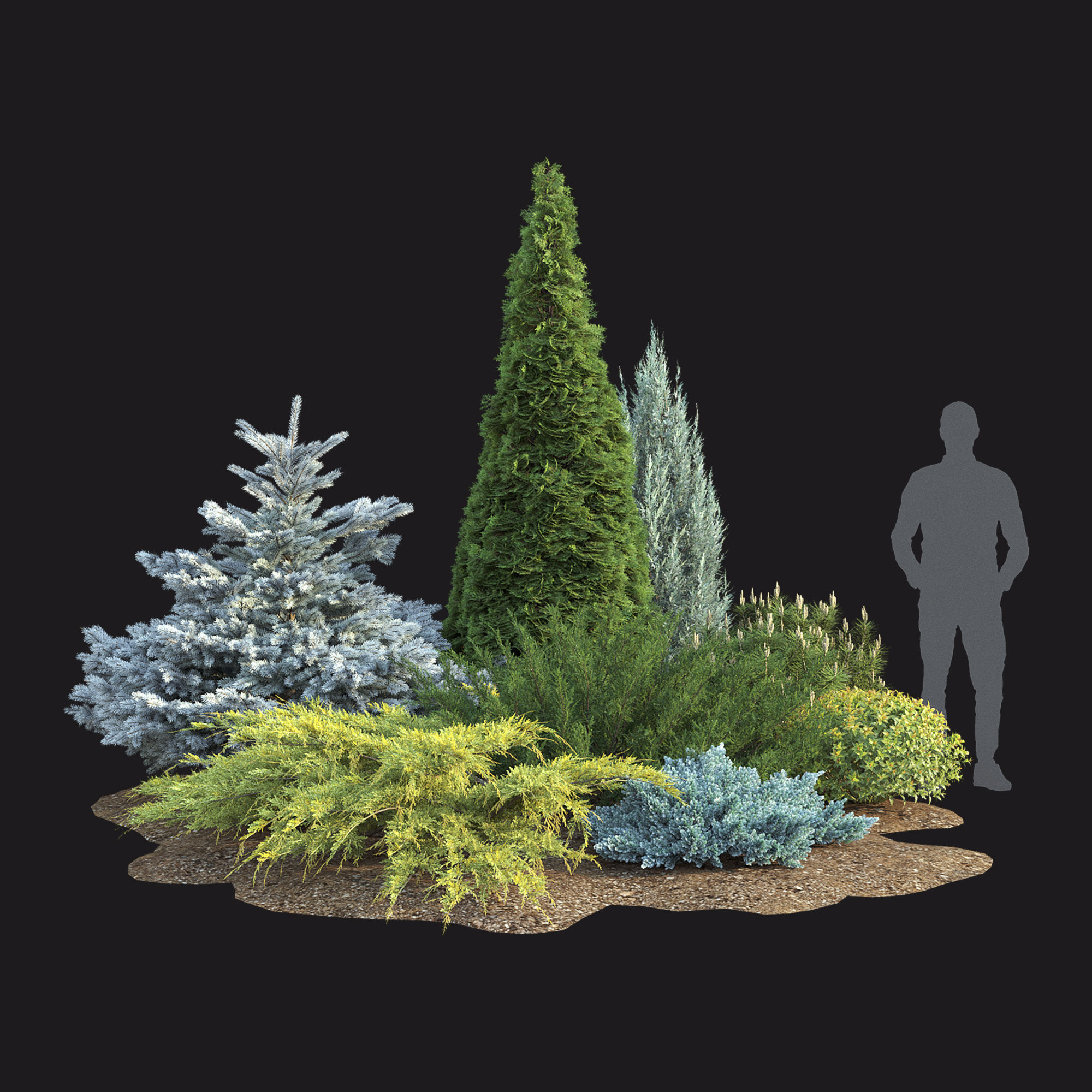 Plant Set 01 3D model_1