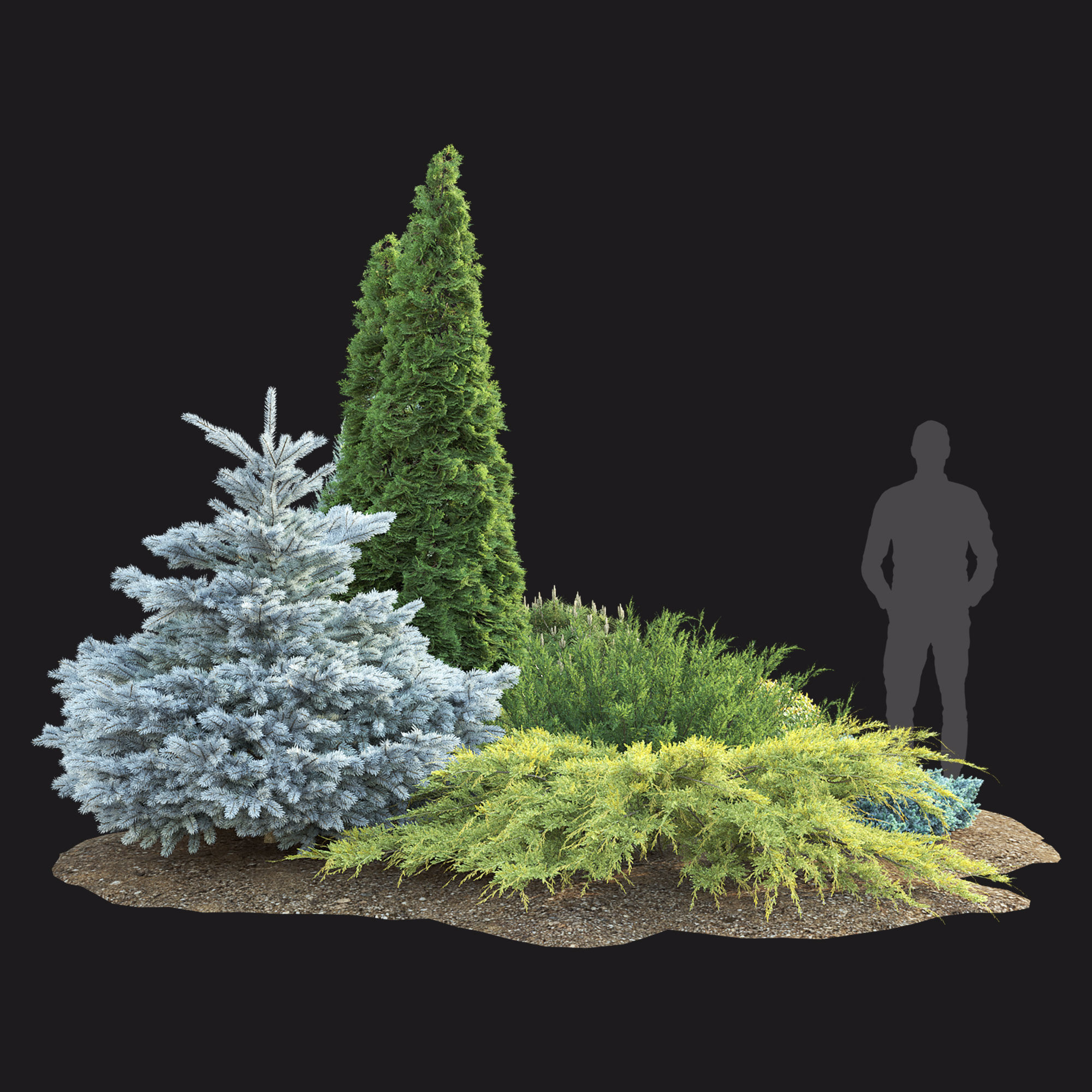 Plant Set 01 3D model_2
