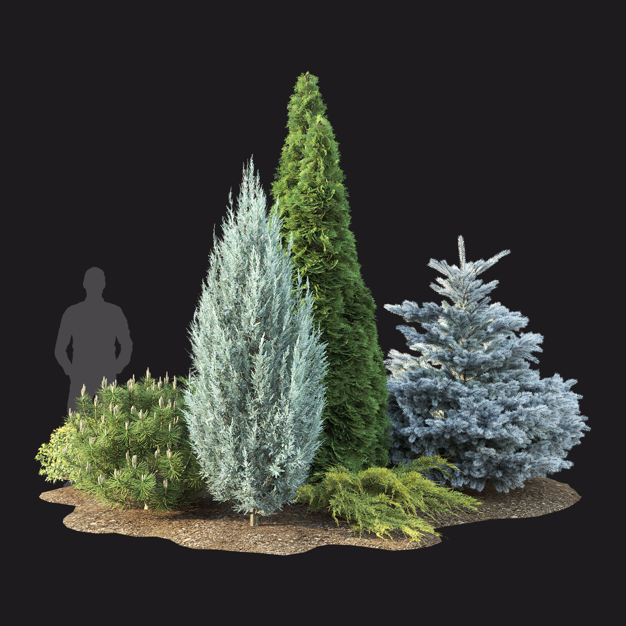 Plant Set 01 3D model_4