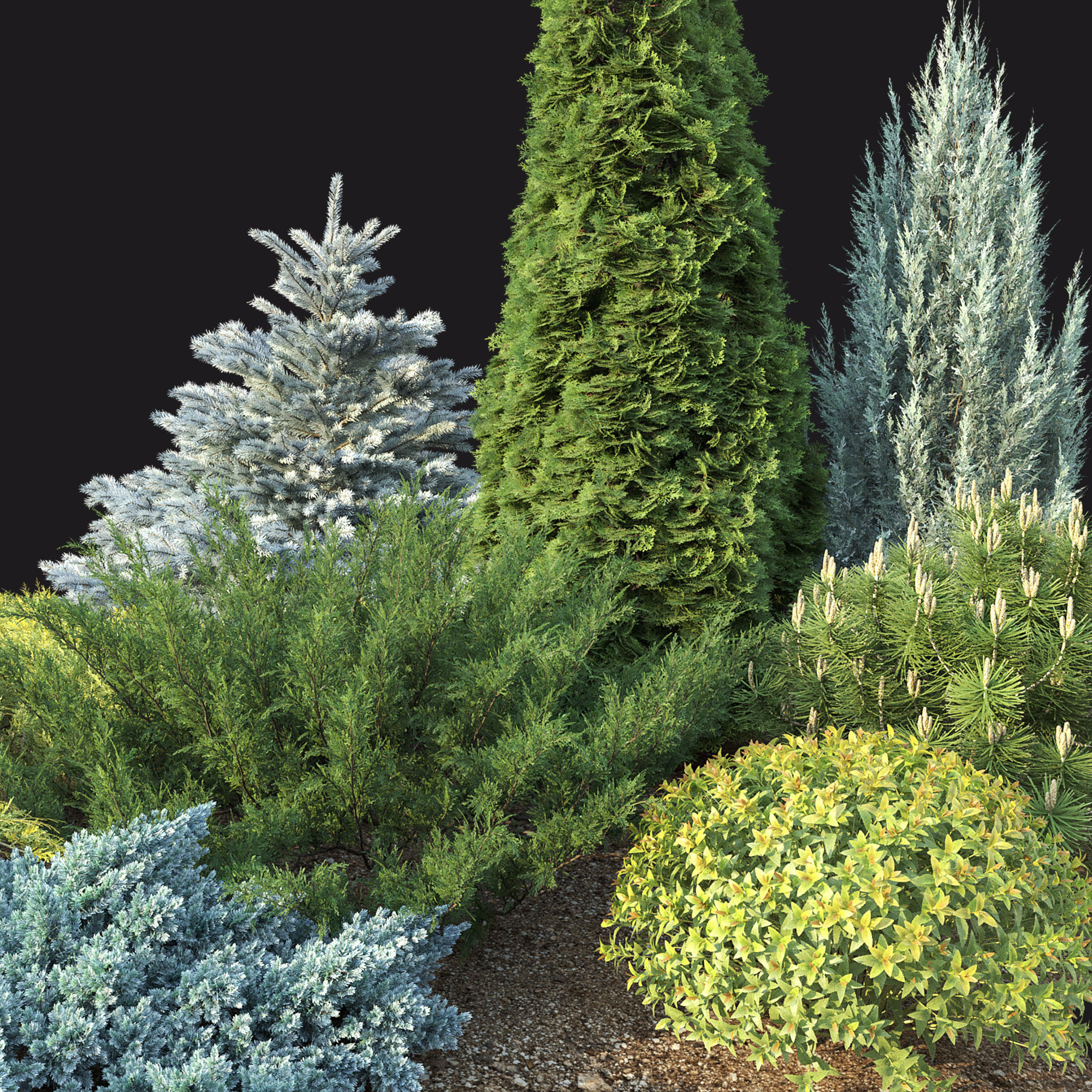 Plant Set 01 3D model_5