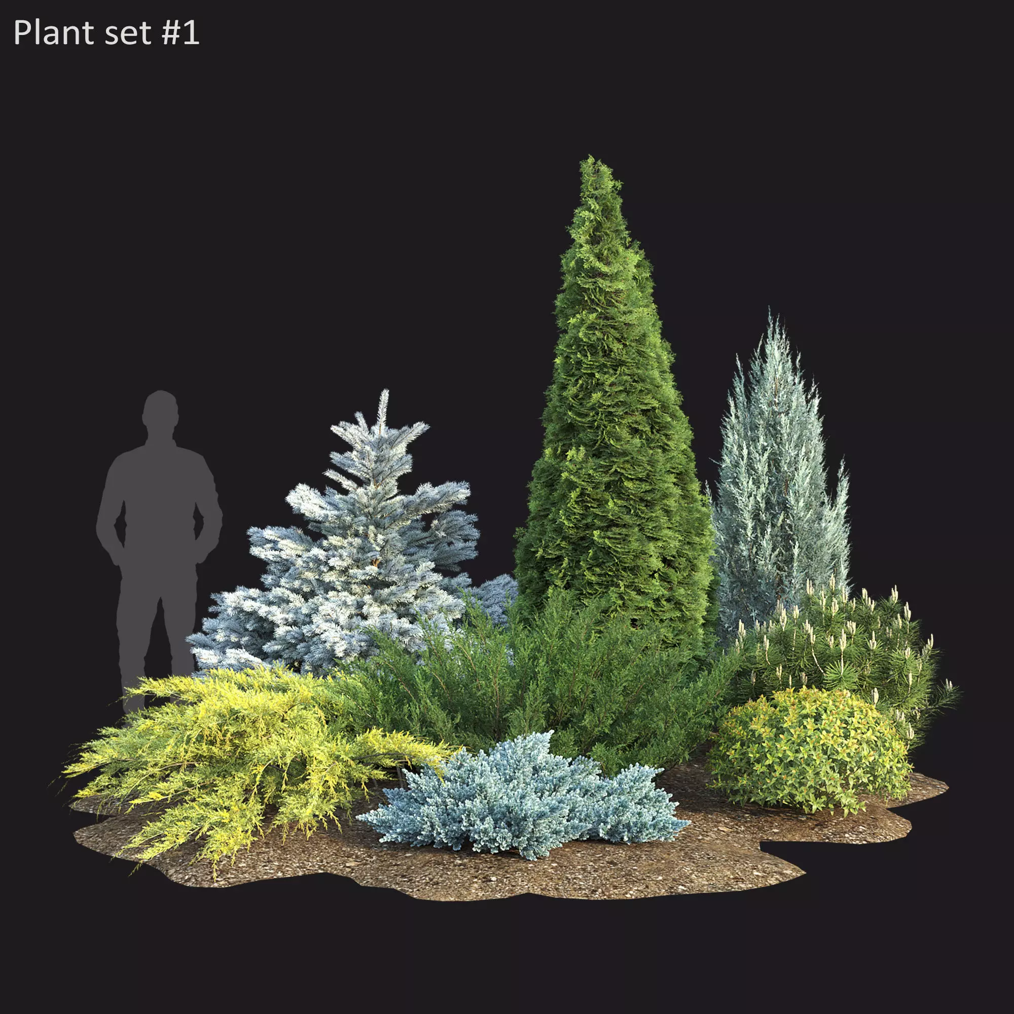 Plant Set 01 3D model_0