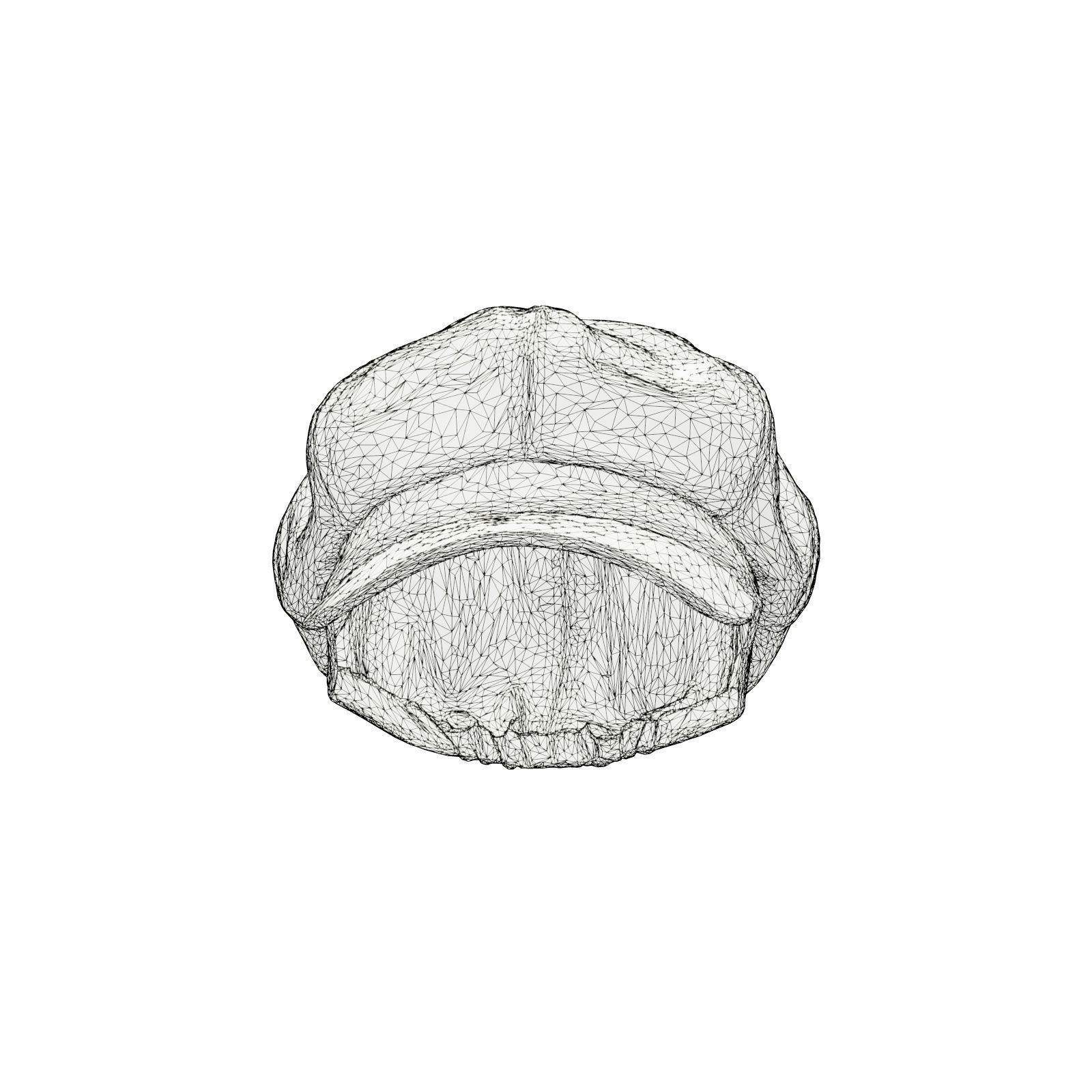 Fancy Leather Cap 3D model_6