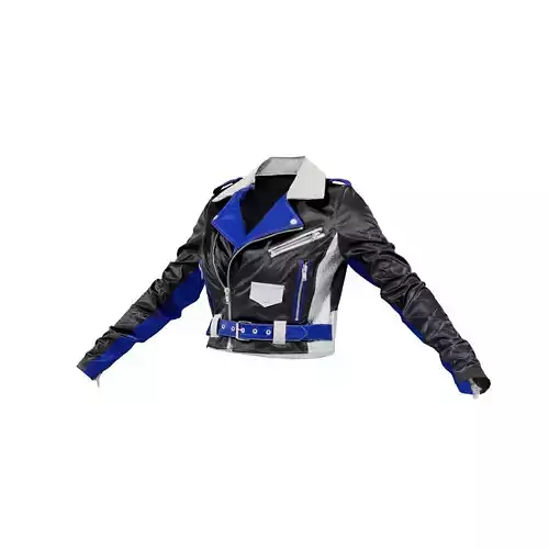 Electric Moto Vinyl Jacket 3D model