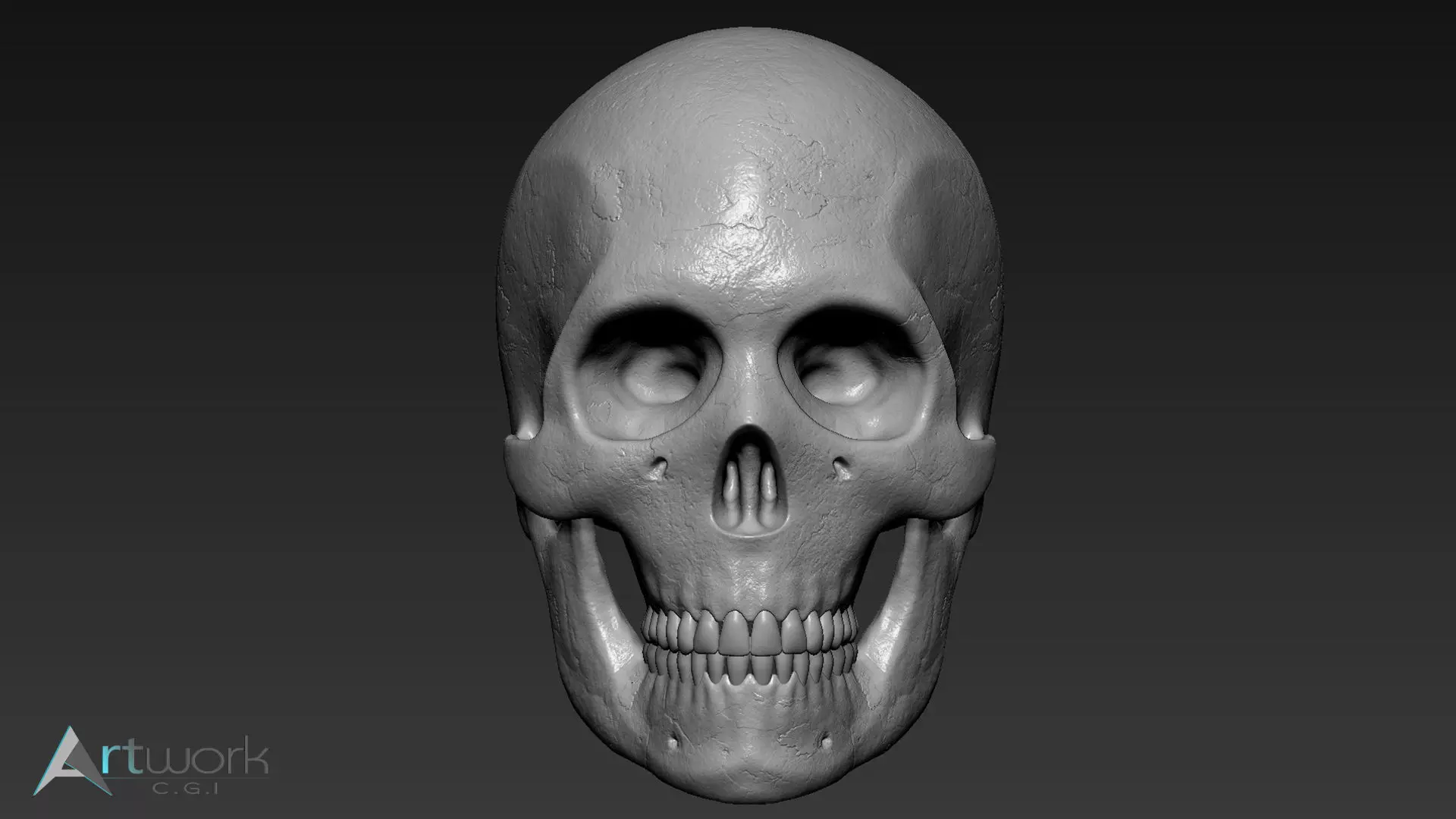 Human skull Free 3D model_0