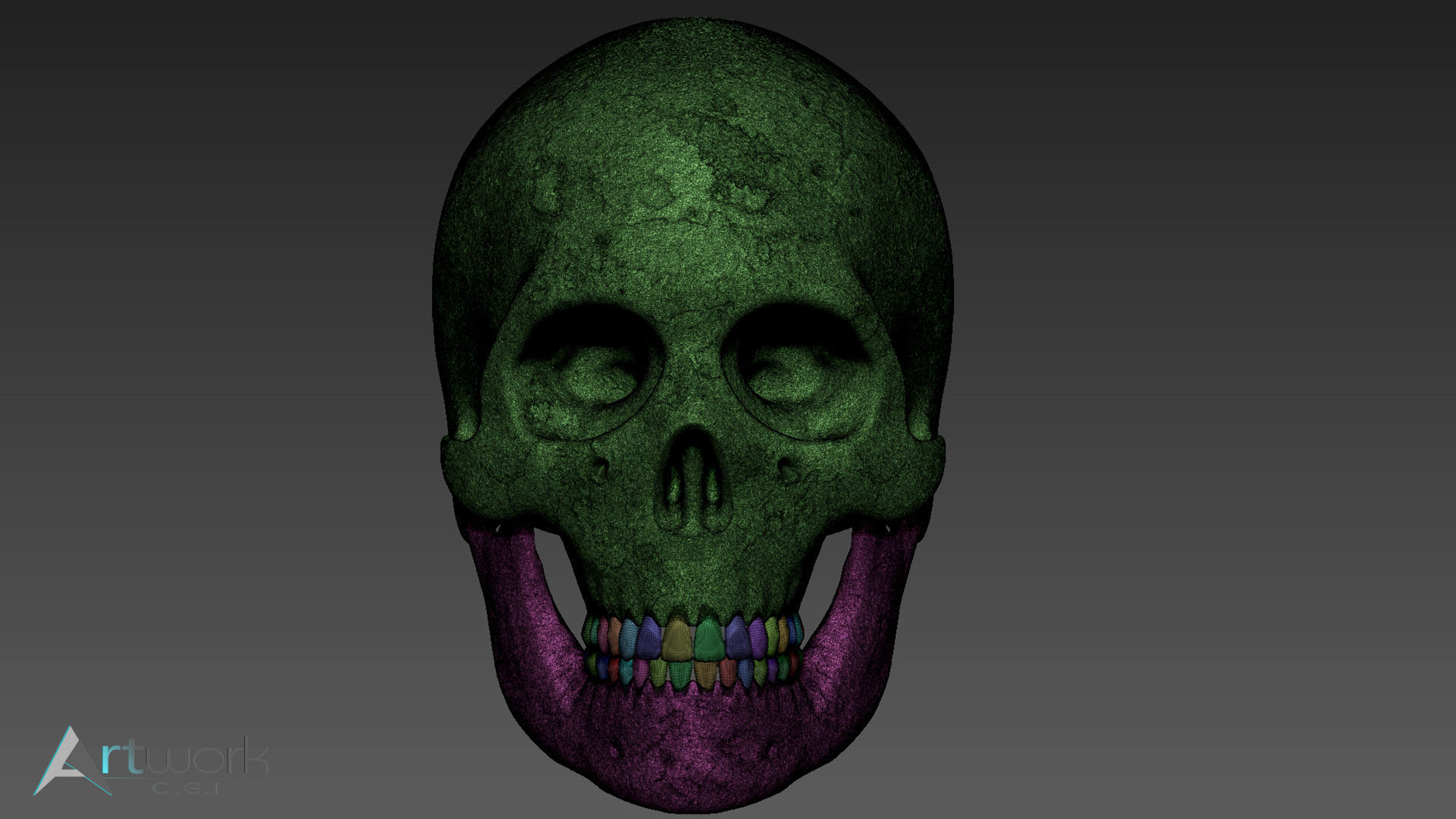 Human skull Free 3D model_5