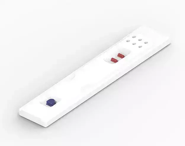 Preganancy Test Kit 3D print model