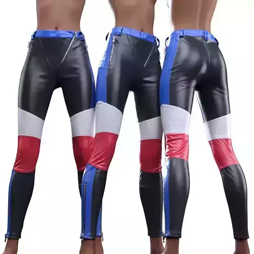 French Leather Trousers 3D model