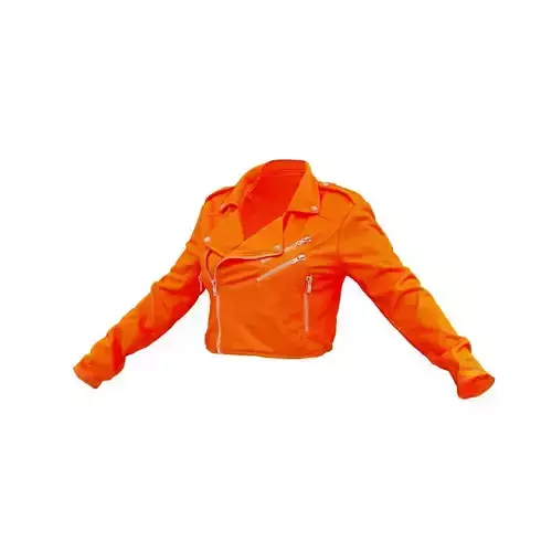 Flash Zipper Jacket 3D model