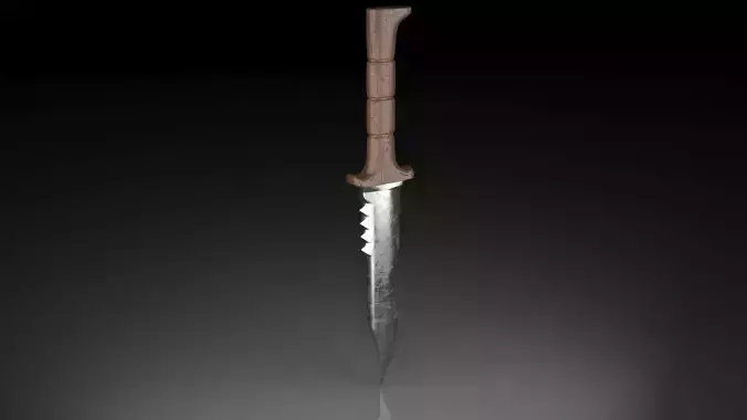 Combat Knife