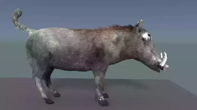 warthog 3D model