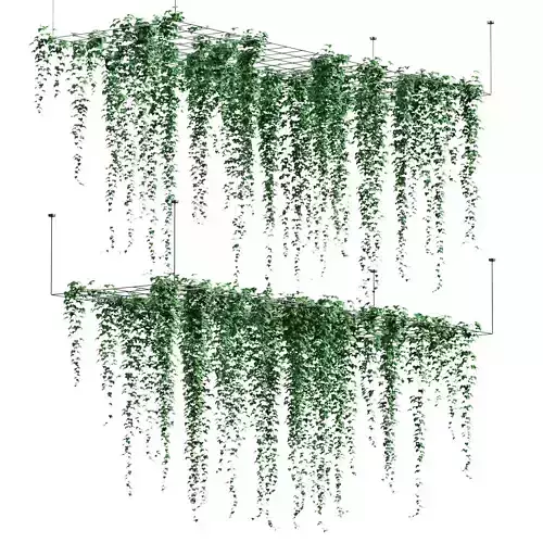 Ivy hanging from the ceiling on a trellis - 6 models 3D model