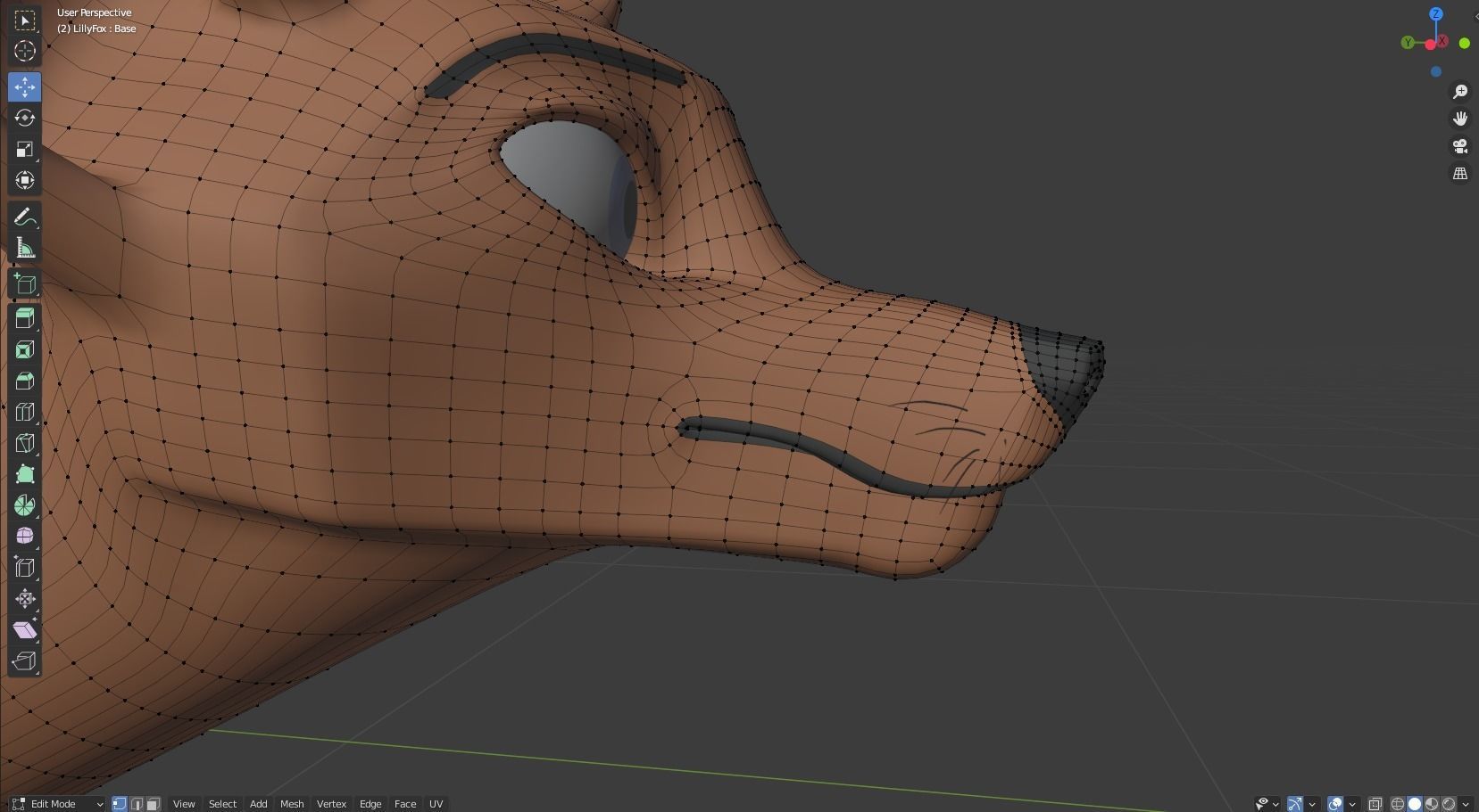 Lilly Female Fox 3D model_42