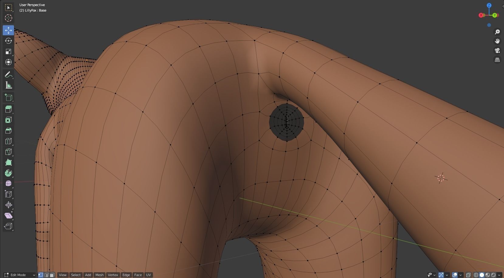 Lilly Female Fox 3D model_47