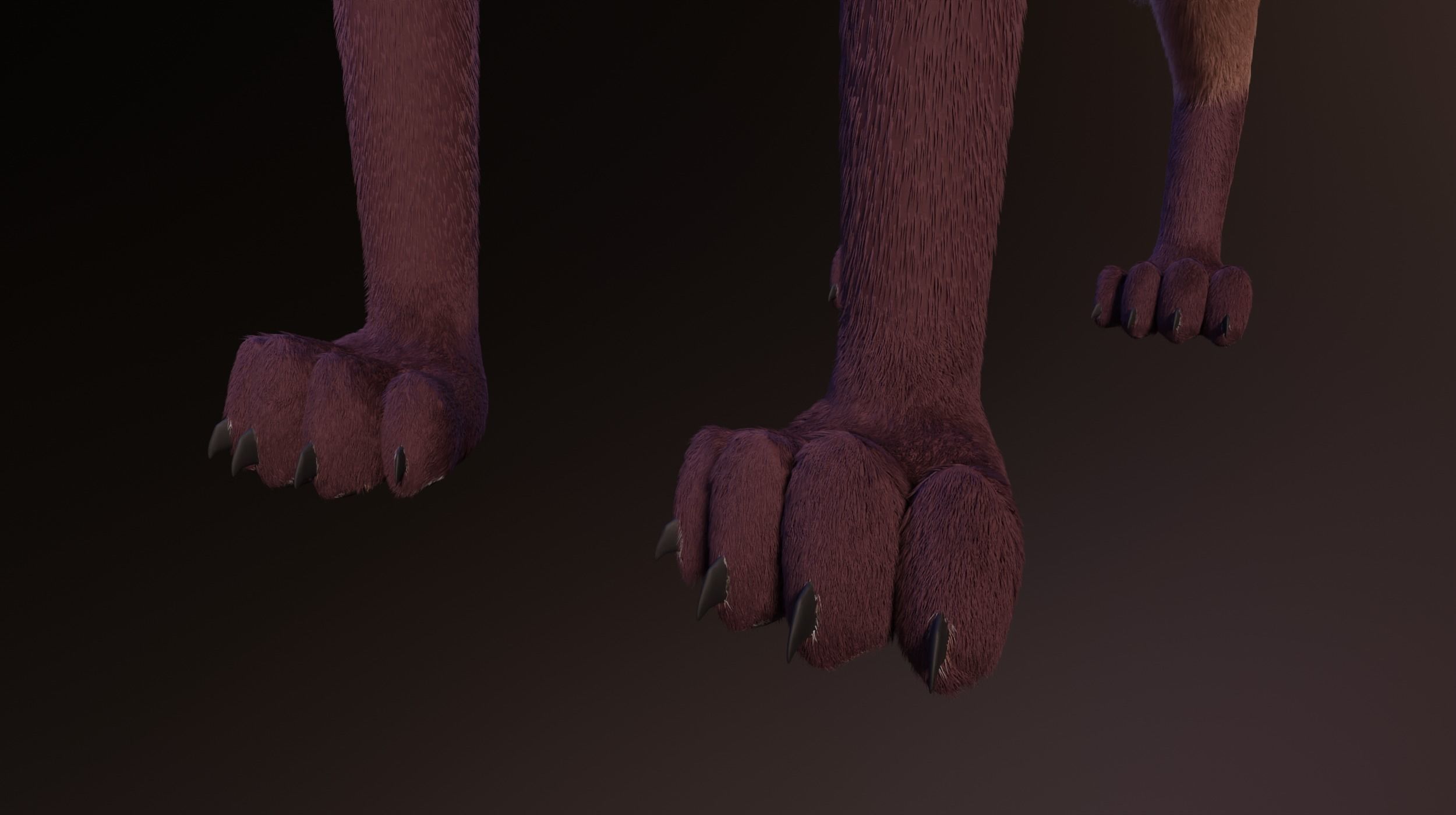 Lilly Female Fox 3D model_9