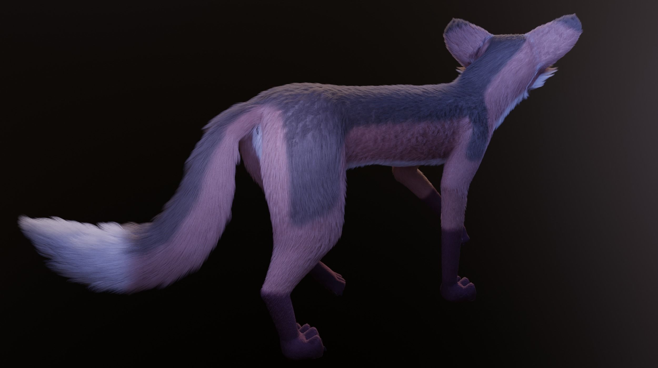 Lilly Female Fox 3D model_14