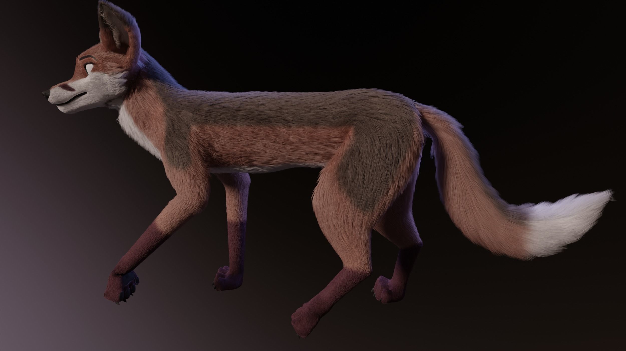 Lilly Female Fox 3D model_13