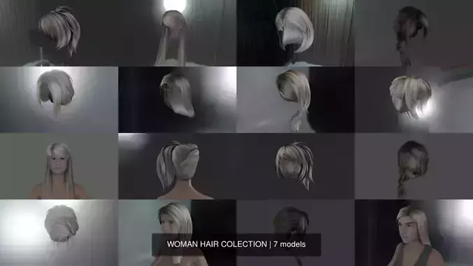 WOMAN HAIR COLECTION 3D Model Collection