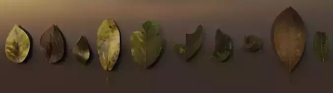 Low Poly Leaves - Pack of 10 - 001-010 3D model