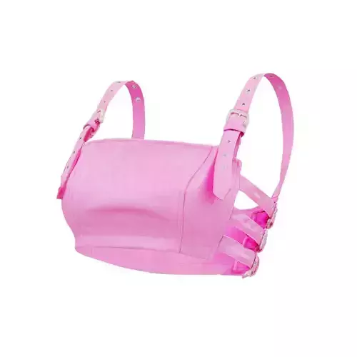 Glitter Straps Top 3D model