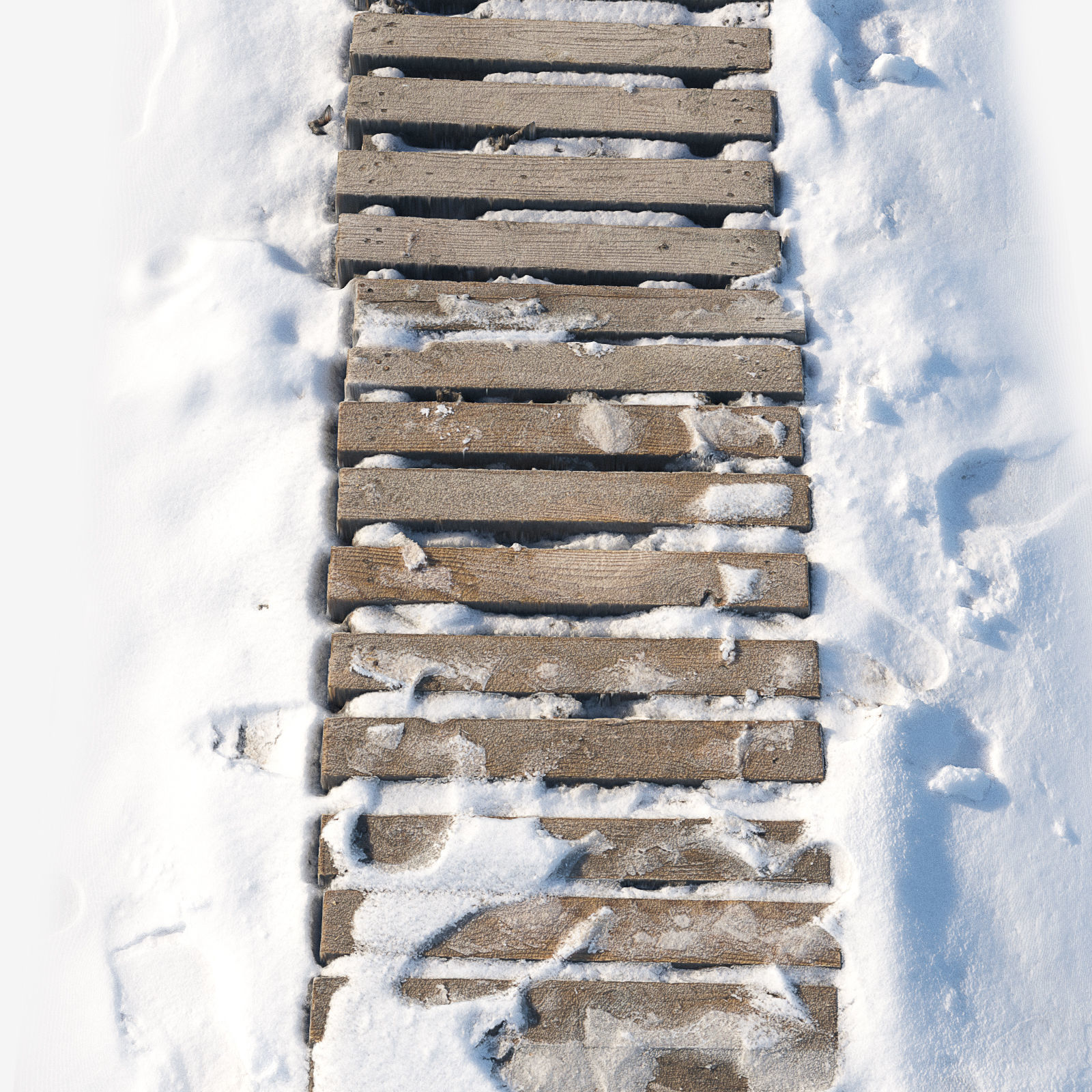 Ultra realistic Snow wooden trail 3D model_1