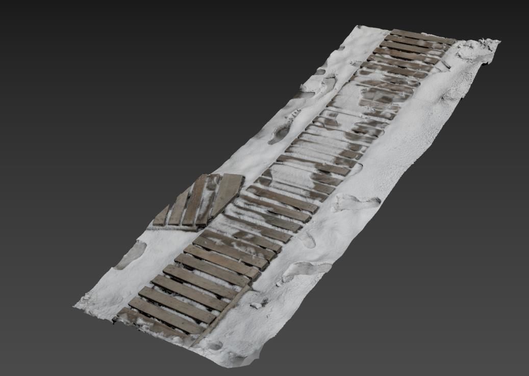 Ultra realistic Snow wooden trail 3D model_9