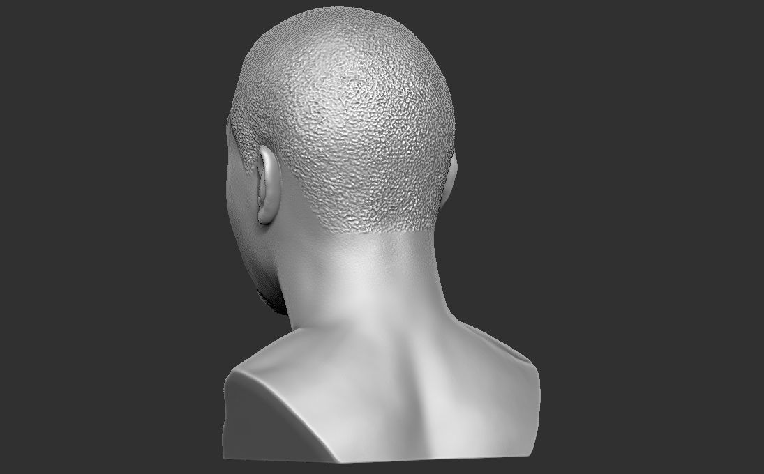Nas bust 3D printing ready stl obj formats 3D print model_11