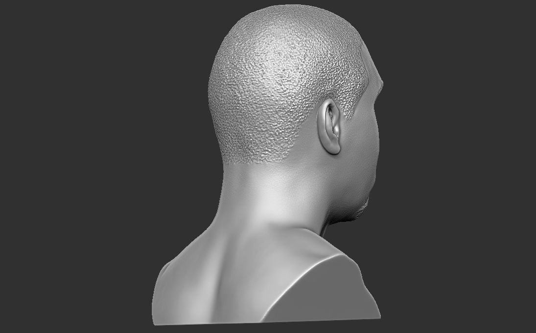 Nas bust 3D printing ready stl obj formats 3D print model_13