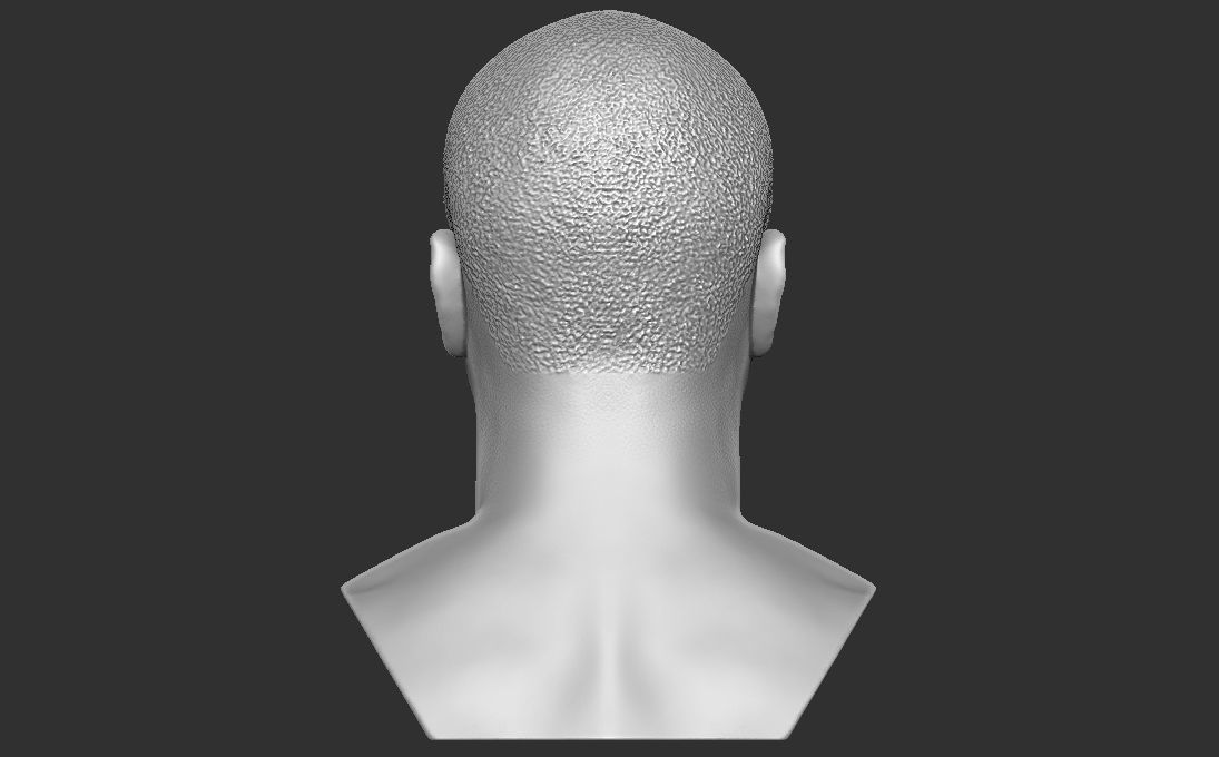 Nas bust 3D printing ready stl obj formats 3D print model_12