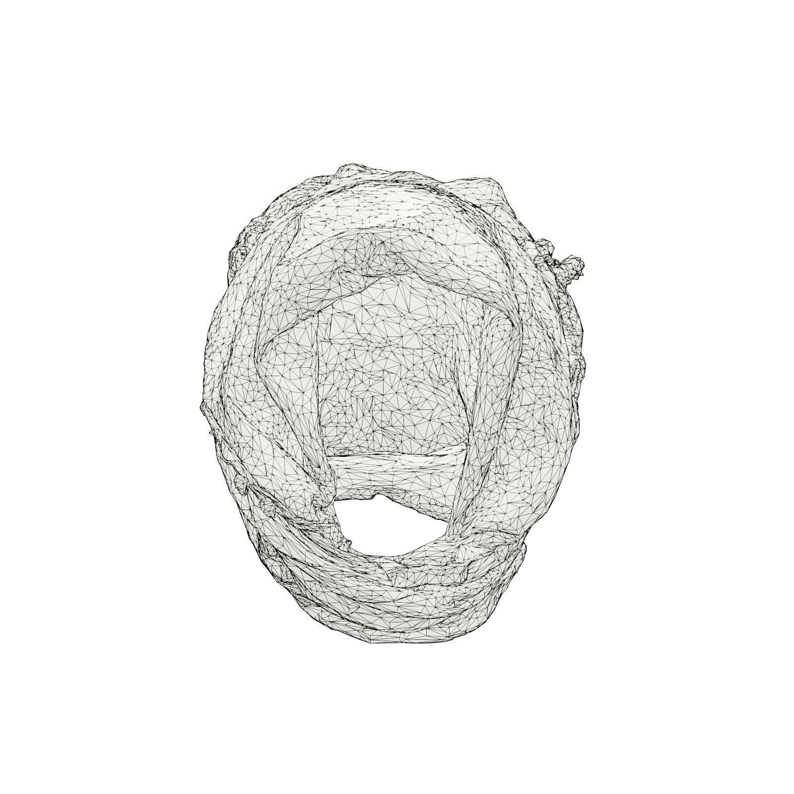 HeadScarf Surrounded 3D model_6