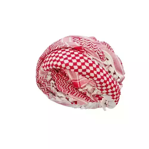 HeadScarf Sunblock 3D model