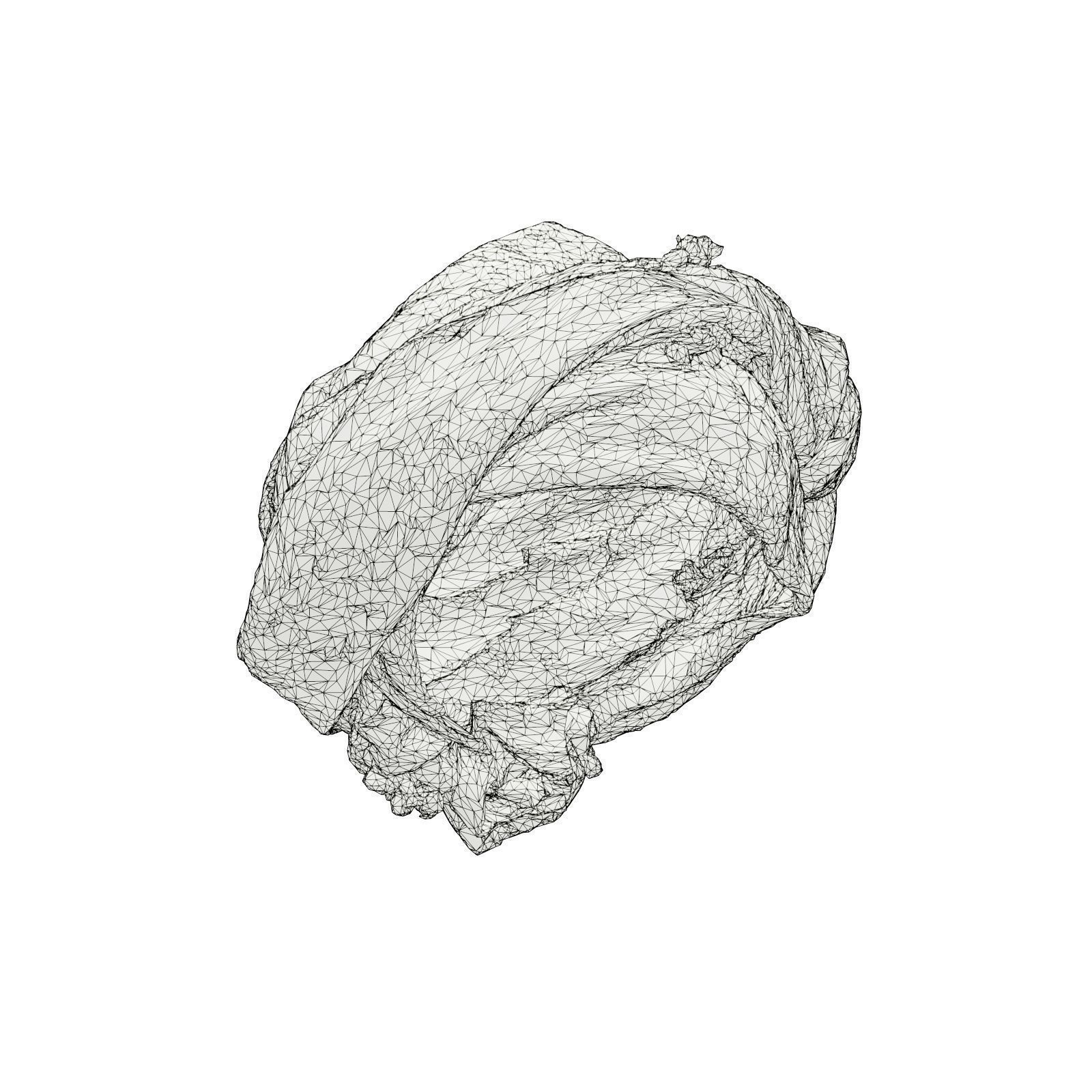 HeadScarf Off To The Side 3D model_6