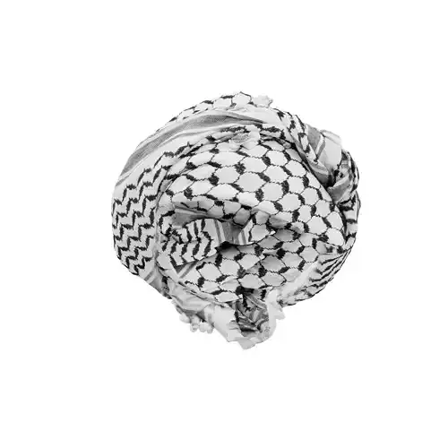 HeadScarf Off To The Side 3D model