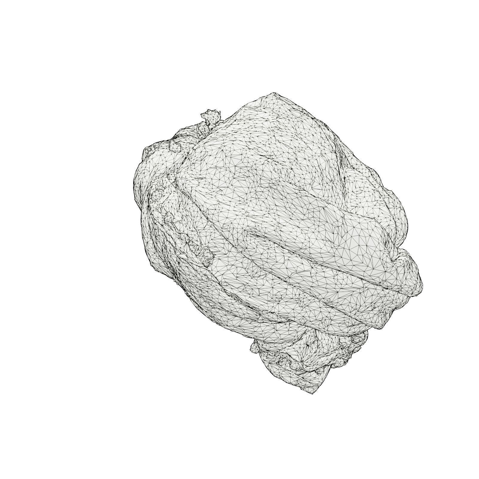 HeadScarf Off To The Side 3D model_7