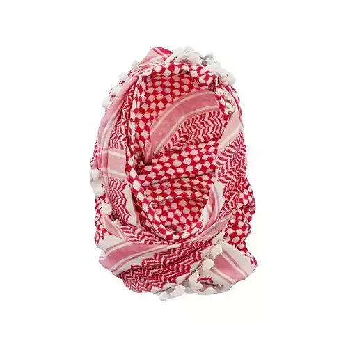 HeadScarf Dentist 3D model